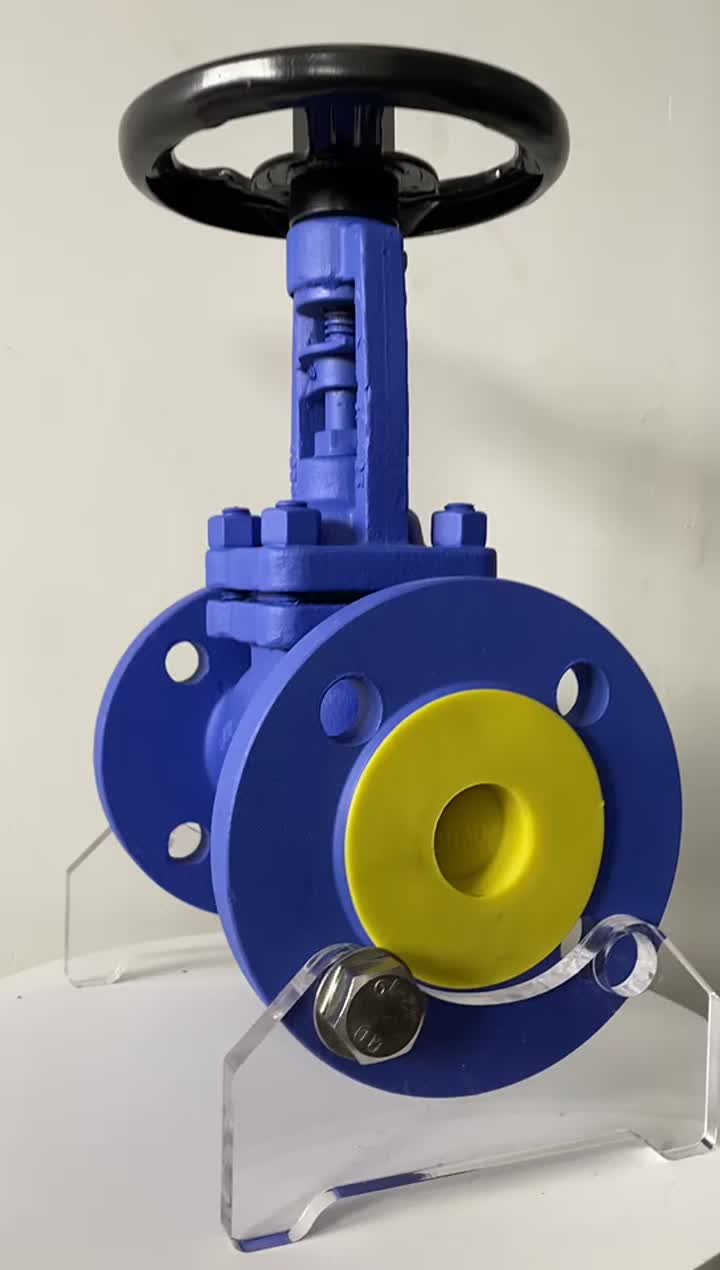 DIN BELLOWS GLOBE VALVE 2