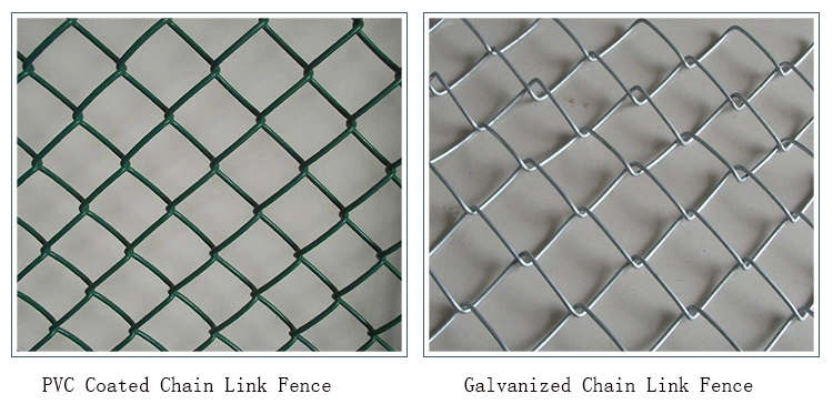 chain link fence 