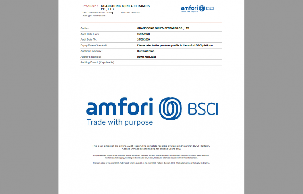 BSCI AUDIT REPORT