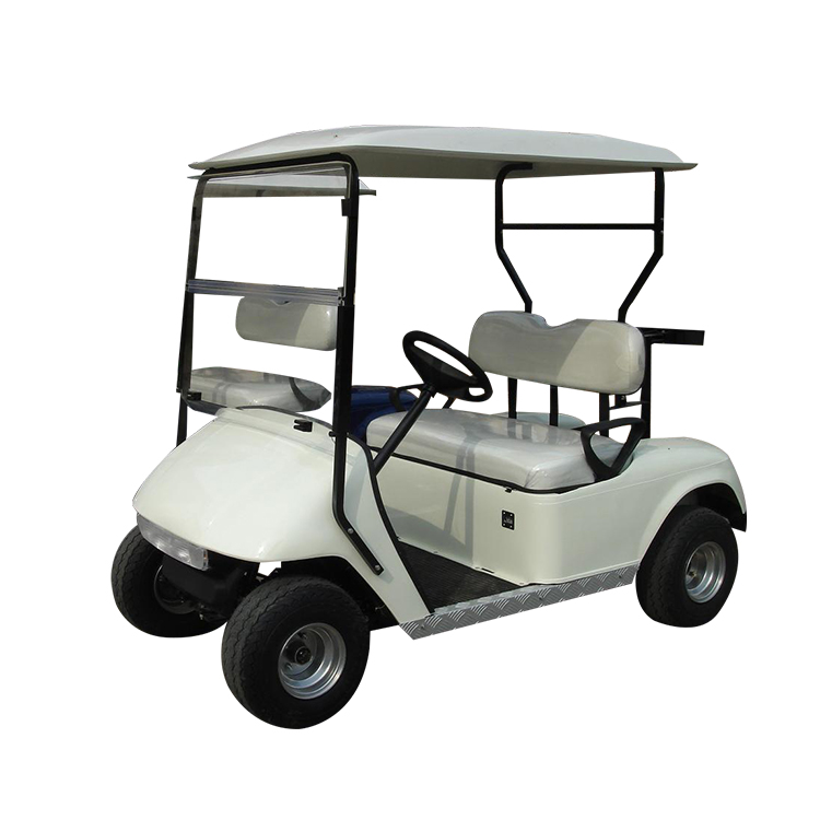 2 seater golf cart