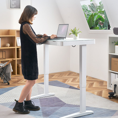 Computer Desk Height Adjustable Office Desk