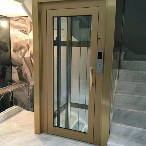 Home Elevator Market Trend Forecast in 2023