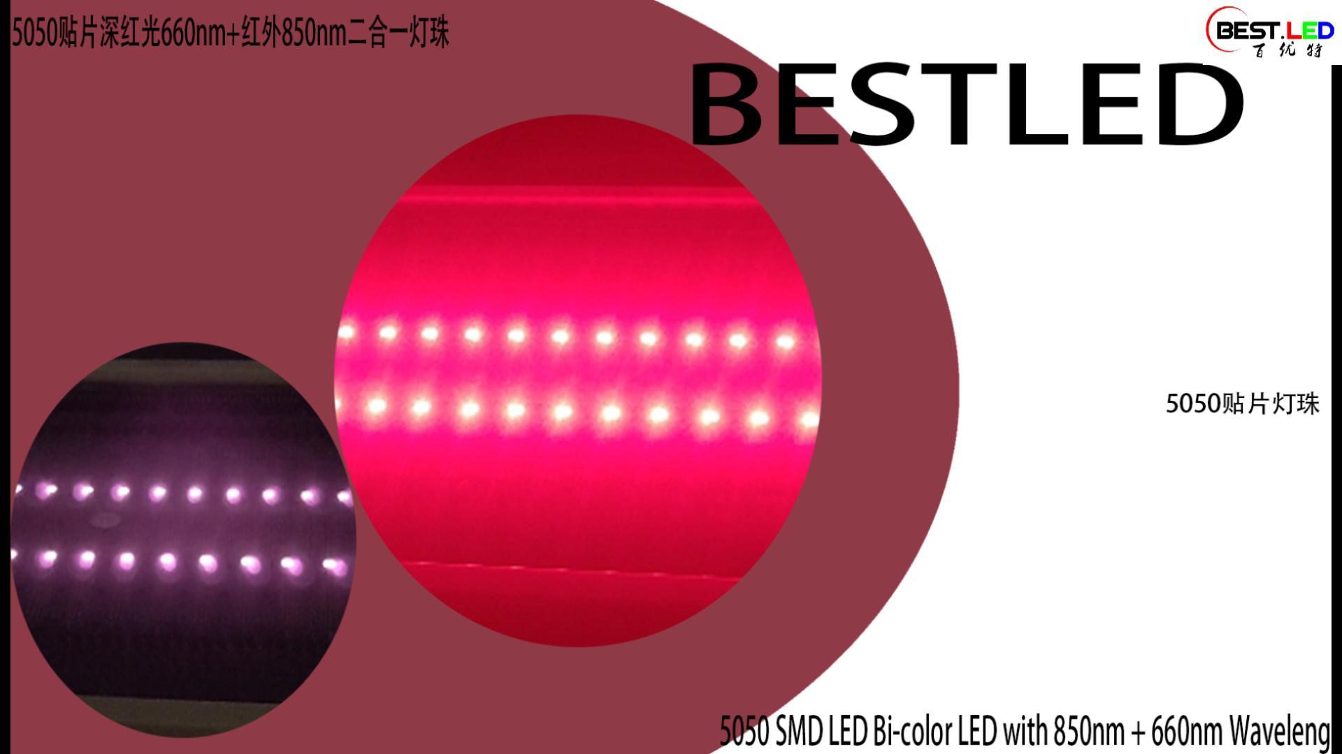 5050 SMD LED LED Bi-Color