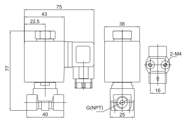 1/8'' 1/4'' 3/8'' Brass Electric Solenoid Valve 2 Way Normally Closed 24V 220V 1