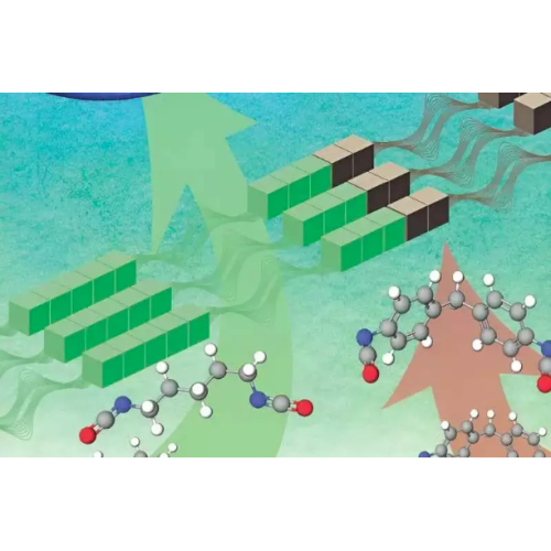 I ricercatori hanno sviluppato un poliuretano termoplastico ecologico con un contenuto di biocarbon fino al 97%.