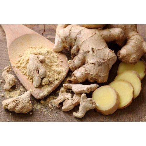 Exploring the Versatility of Ginger Extract: From Cooking to Skincare