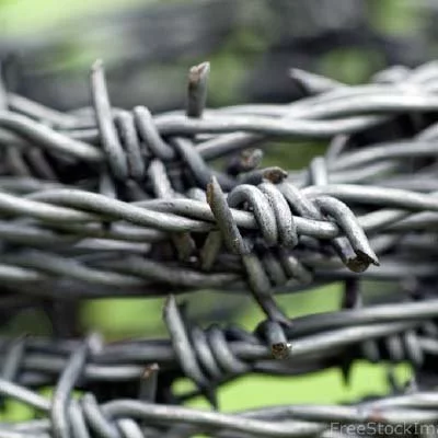 barbed wire 