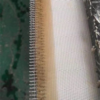 3.5 M Polyester Filter Mesh Belt Manufacturer