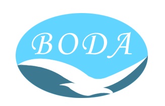 BODA ENTERPRISE LIMITED