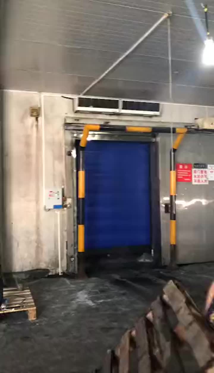 Porta de alta velocidade de armazenamento a frio