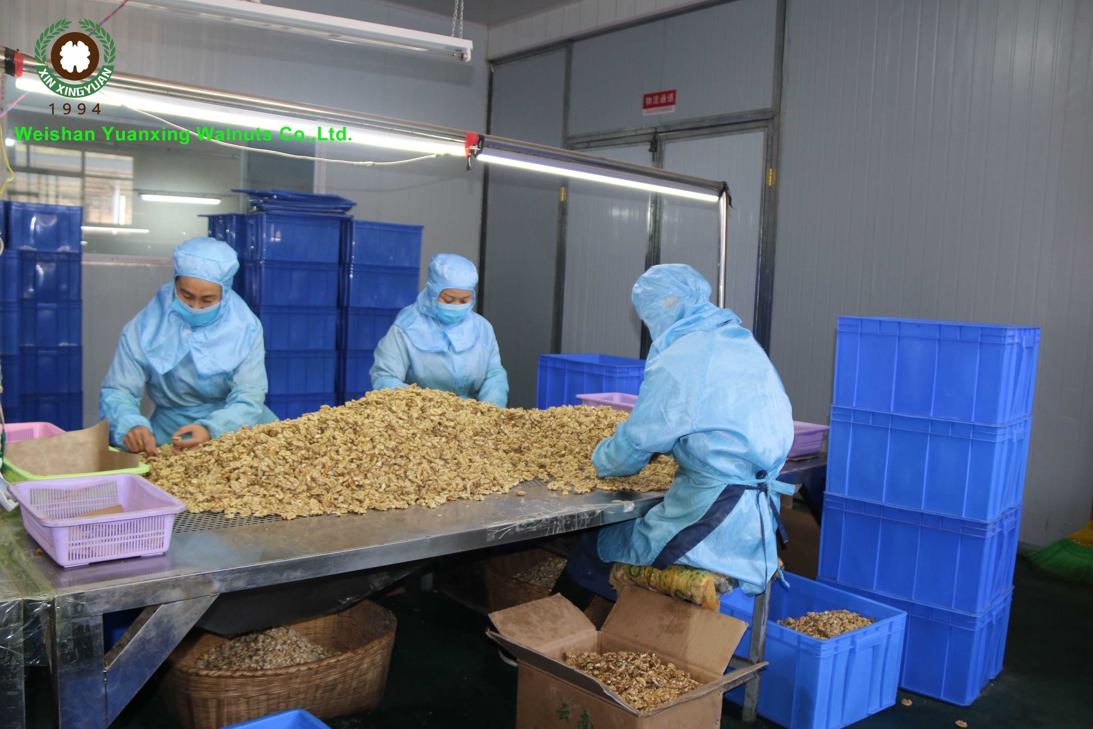 Weishan Yuanxing Walnuts Co.,Ltd.