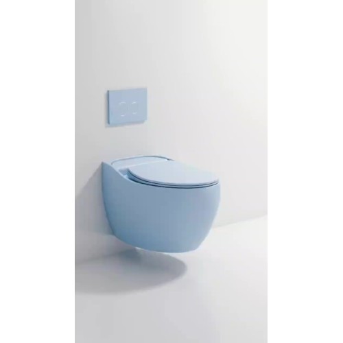 wall-hung toilet