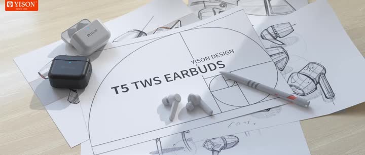 TWS-T5 true wireless stereo earphones