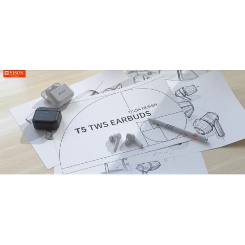 TWS-T5 true wireless stereo earphones