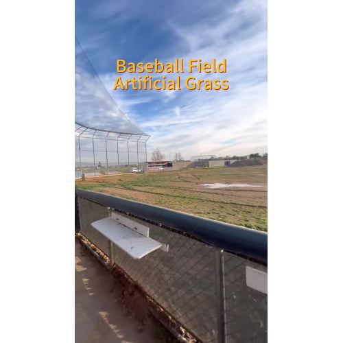 Baseball Field (1)