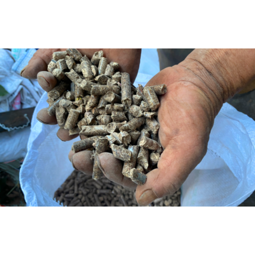 "Rotten Firewood" é transformado em energia limpa por máquina de pellets de biomassa