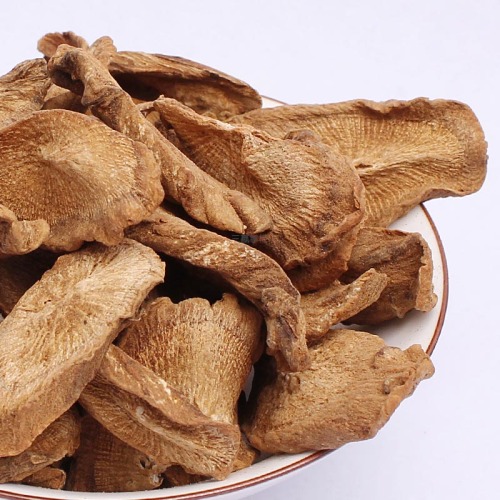 The Benefits of Burdock Root Extract: A Complete Guide