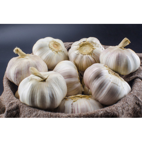 The Science Behind Garlic Extract: Exploring Its Healing Properties