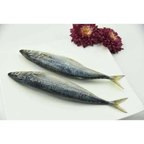Origin and season of mackerel
