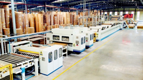 The journey from manual packaging to automated packaging