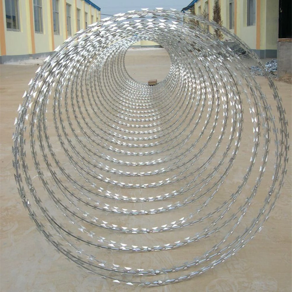 razor wire 