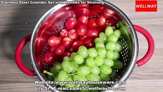 Wellway Stainless Steel Colander Set with Handles for Straining