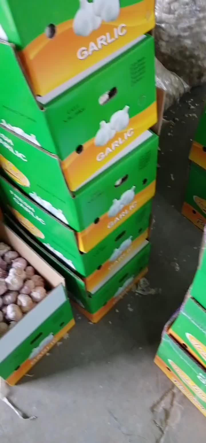 alho branco normal em caixa de 10 kg