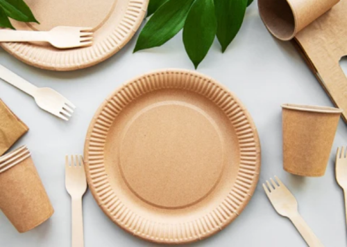 Biodegradable Disposable Tableware: Everything You Need to Know