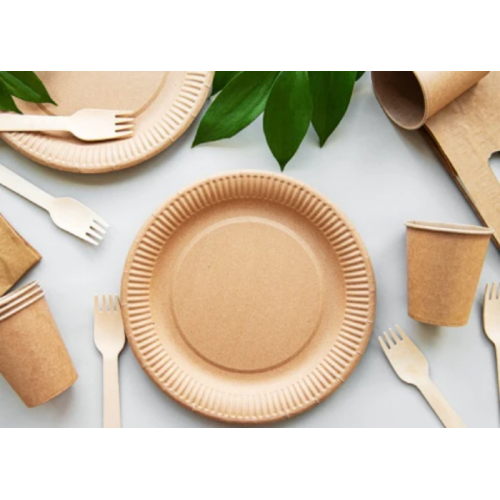 Biodegradable Disposable Tableware: Everything You Need to Know