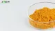 Natürliches Curcumin-Extrakt-Kurkuma-Pulver