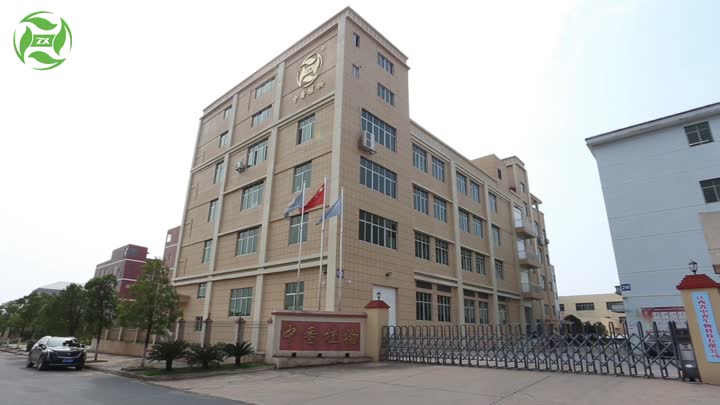 ji &#39;Zhongxiang Natural Plants Co., Ldt