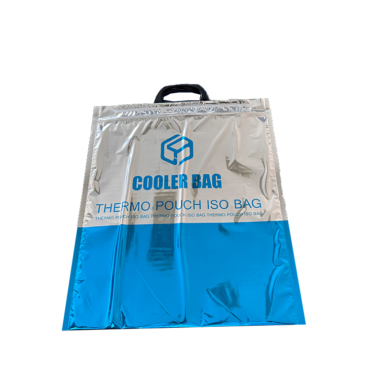 color cooler bag