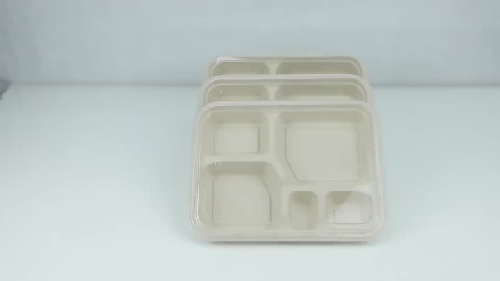 Bagasse Container