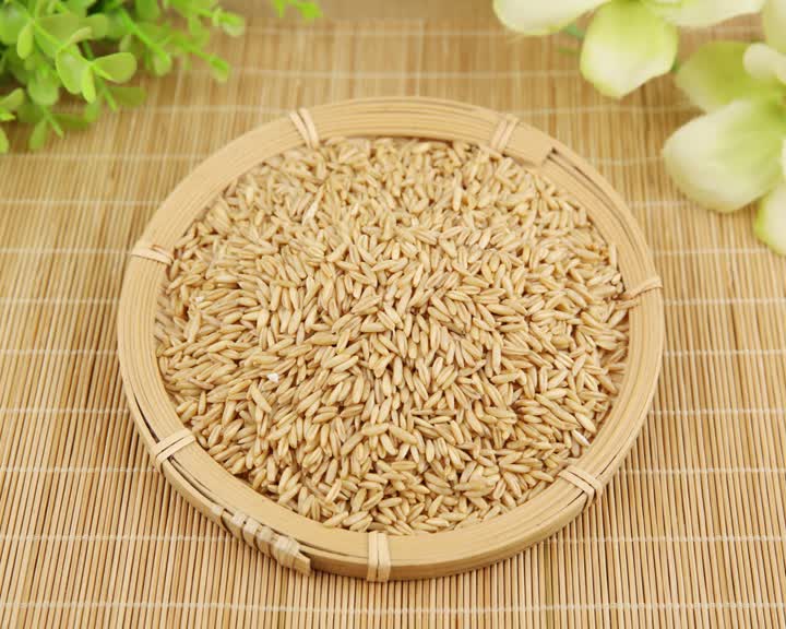 grain oat rice2