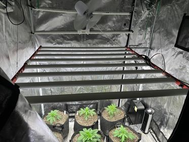 M800 LED Grow Işık