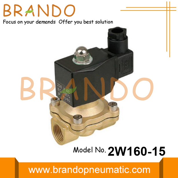 2W160-15 1/2 &#39;&#39; pirinç solenoid valf