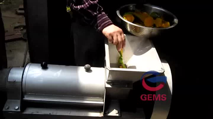 fruit juicer.mp4