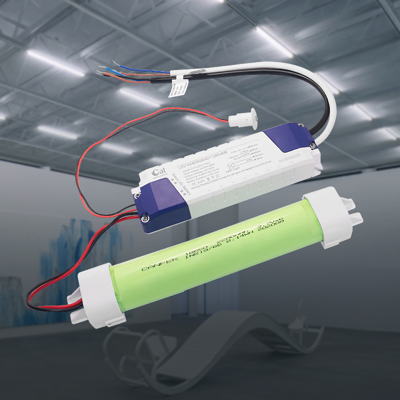 Die Anwendung des vollständigen Ausgangs -LED -Notfallantriebs