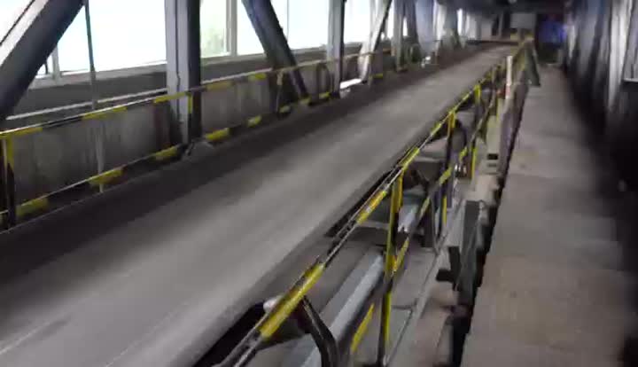 Operationg Video of Fixing Truck Unloading Platform (Unloader)