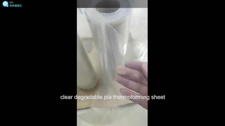 compostable degradable PLA thermoformed sheet.