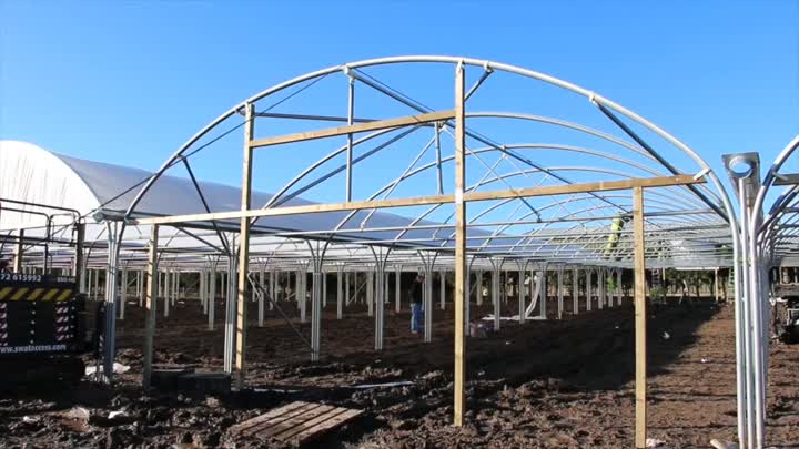 film greenhouse 