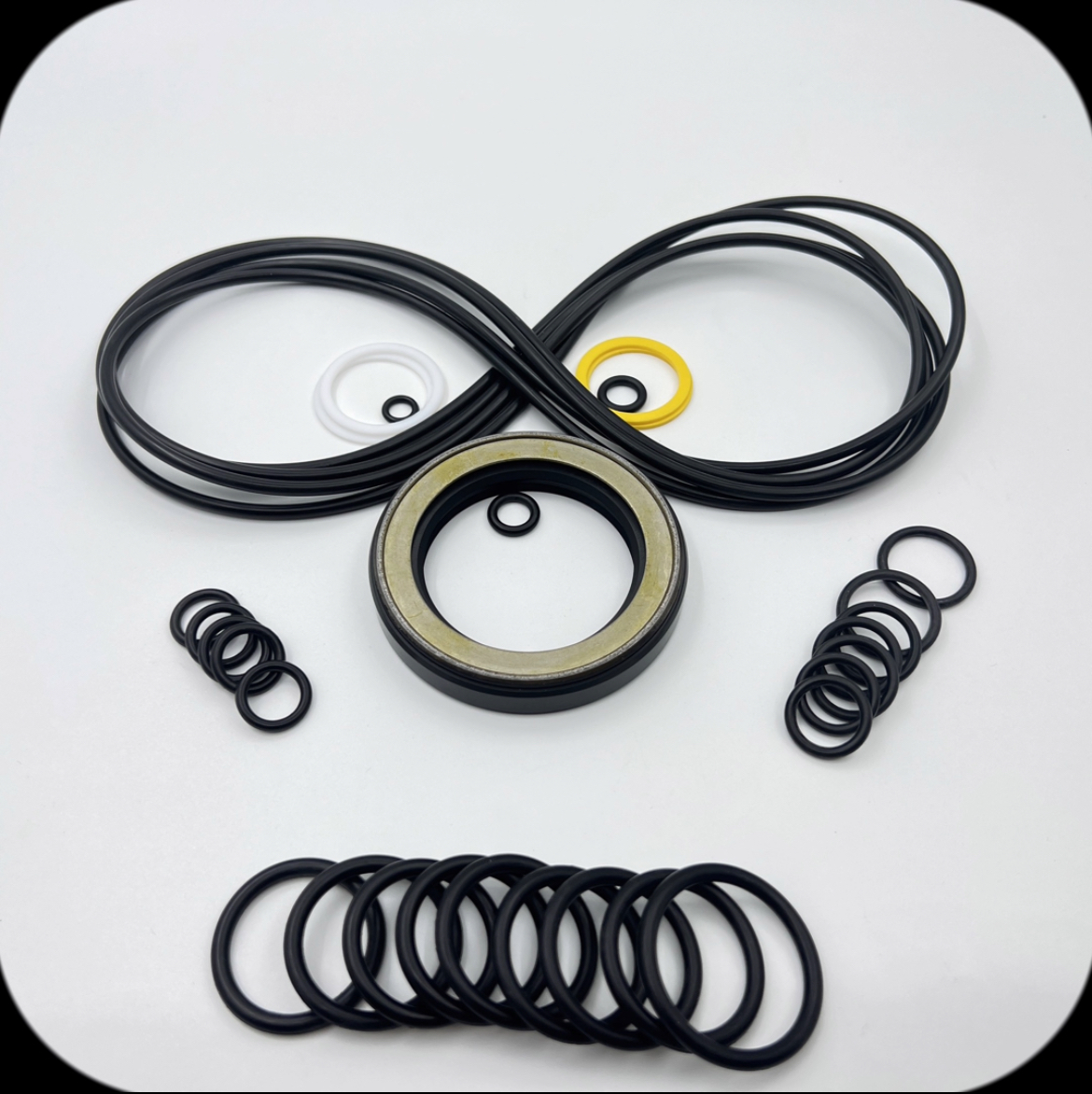 6-Travel Motor Repair Kit