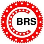 RIGBRS