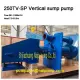 150SV-SP Вертикальные шламовые насосы