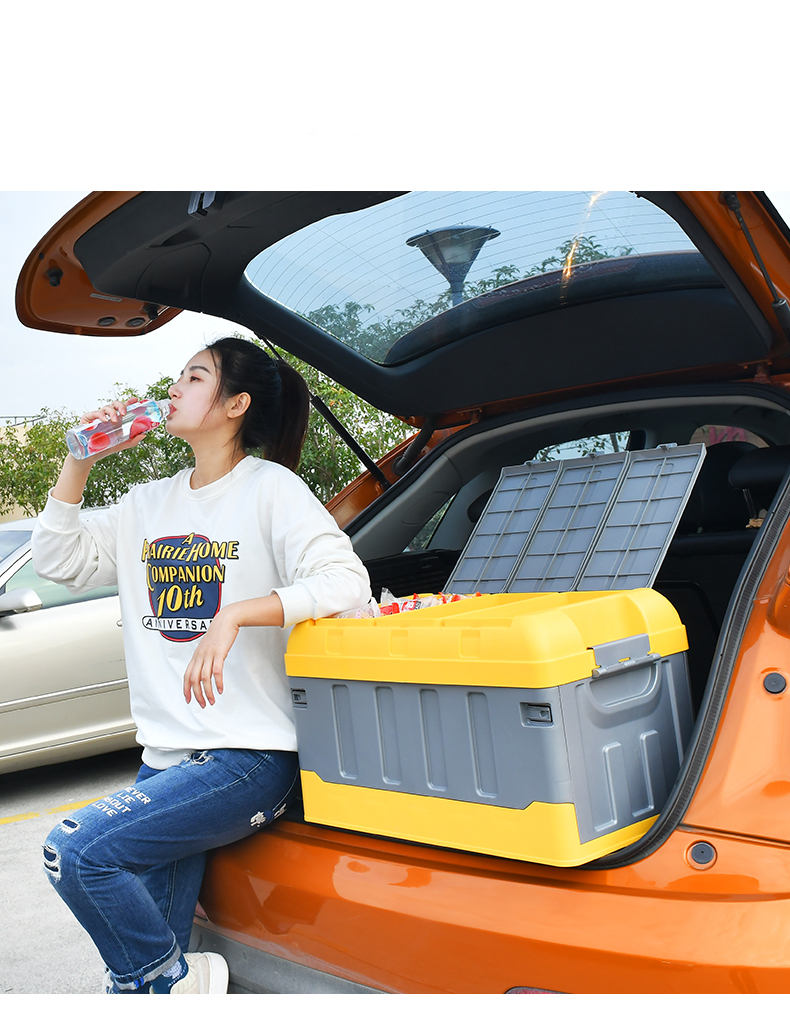 Best quality toy stwoing stackable basket multi-function vehicle boot trunk car inner storage compartment box with lid