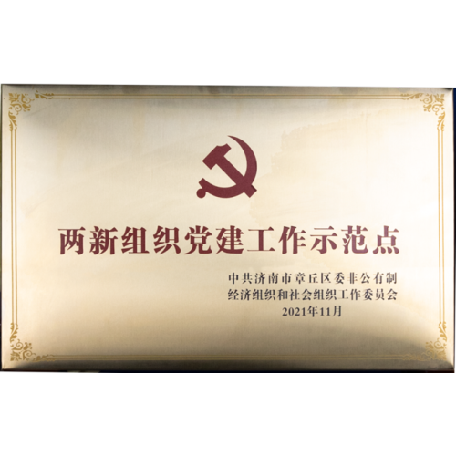 Good news! The Party Branch of Shandong Jubangyuan Group was awarded the 