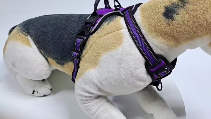 Heavy Duty Soft Reflective Dog Harness.mp4