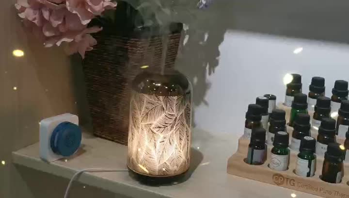 oil diffuser