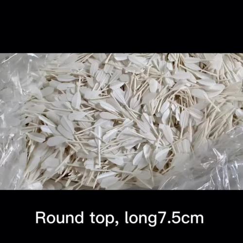 Wholesale Factory Class A Goose Feather Badminton Feather Accessories1