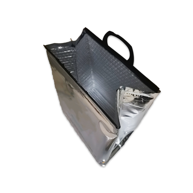 Cooler bag with handle